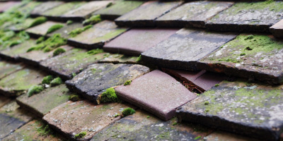 Grangetown roof repair costs